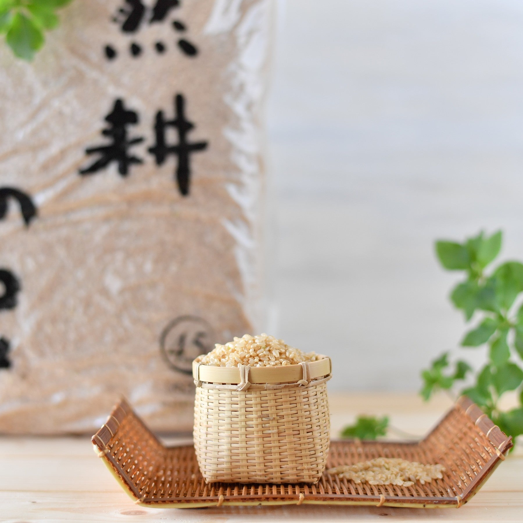 自然耕の米(純)こしひかりの玄米|無肥料・無農薬|G-veggieマーケット