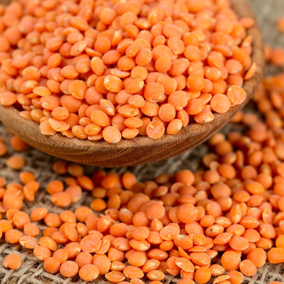 赤レンズ豆|食物繊維が豊富|G-veggieマーケット|オーガニック・マクロビ料理教室G-veggie